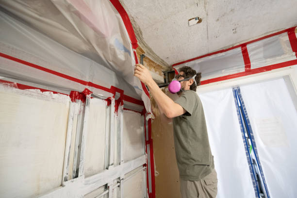 Best Forensic Mold Investigation  in Hastings On Hudson, NY