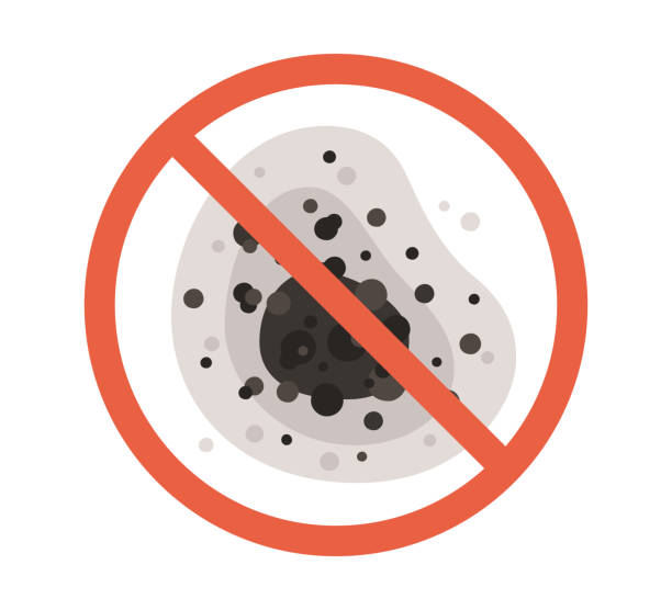 Best Mold Removal for HVAC Installations  in Hastings On Hudson, NY