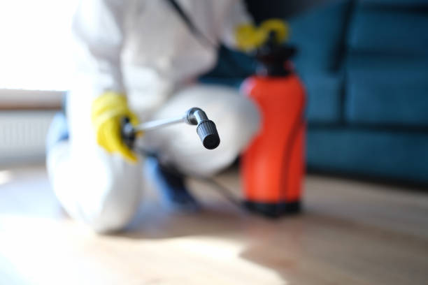 Trusted Hastings On Hudson, NY Mold Removal Experts