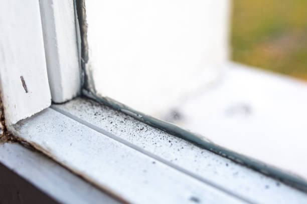 Environmental Consulting for Mold Prevention in Hastings On Hudson, NY