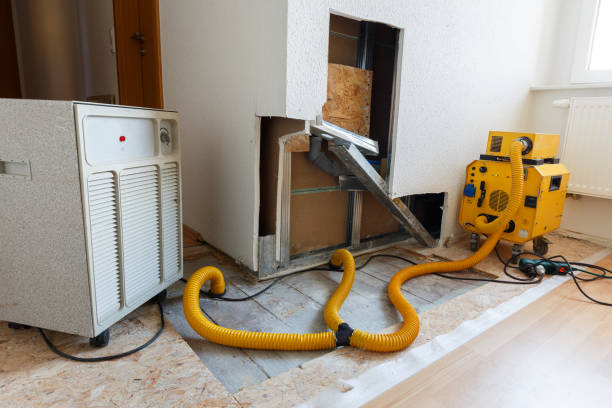 Best Biohazard Mold Removal  in Hastings On Hudson, NY