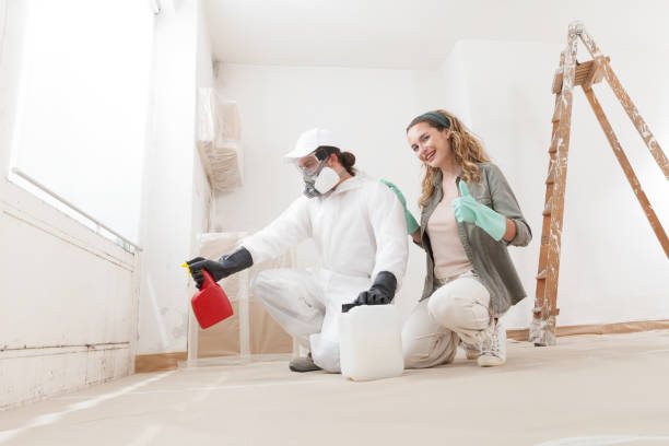 Best Black Mold Removal  in Hastings On Hudson, NY